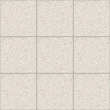 PORCELANATO LFG66021 60X60 1