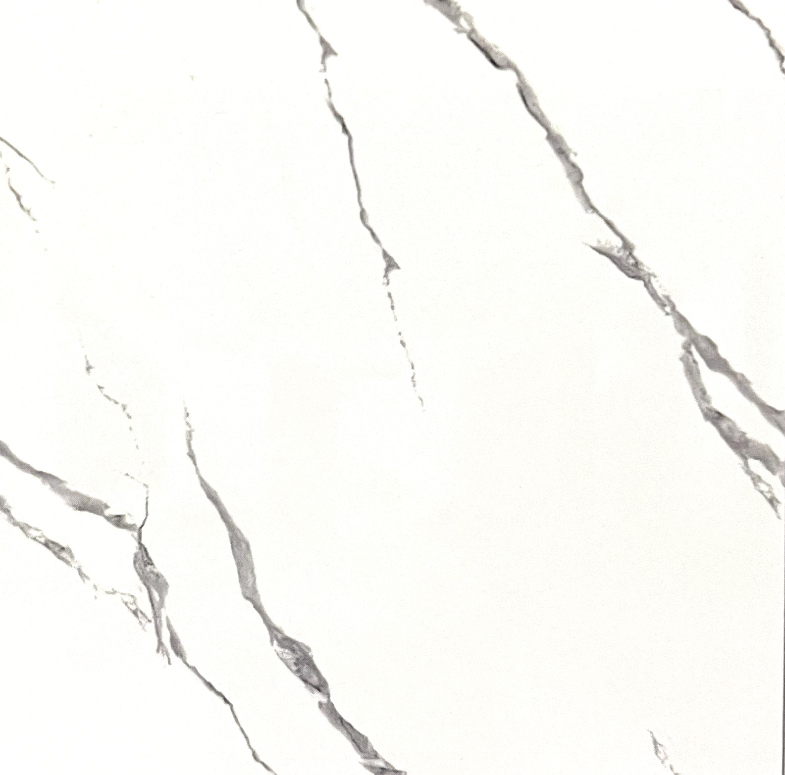 PORCELANATO LPY66011 60X60 1
